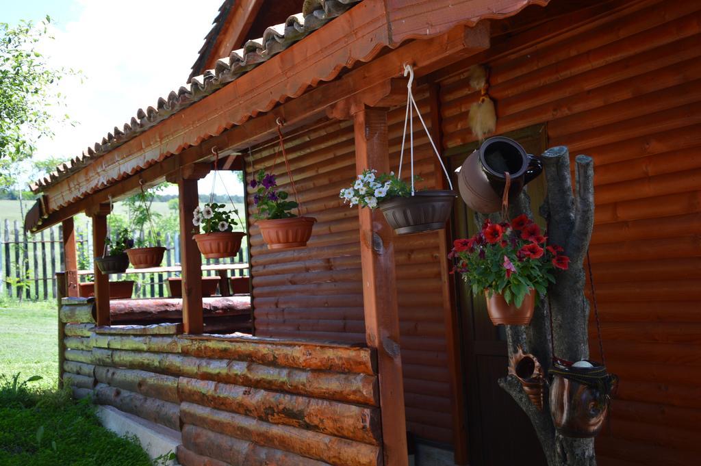Guest House Kosharite Byala  Habitación foto